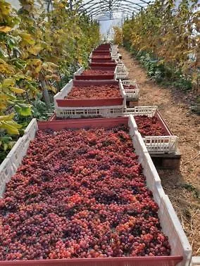 Alloggio per agriturismo Agritur Calvola Tenno
