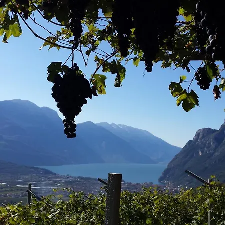 Agritur Calvola Alloggio per agriturismo